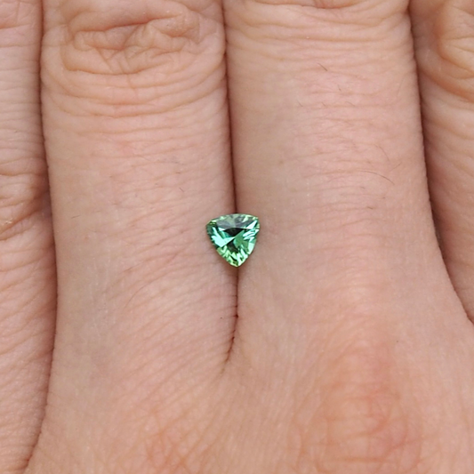 0.25ct Trillion Green Tourmaline
