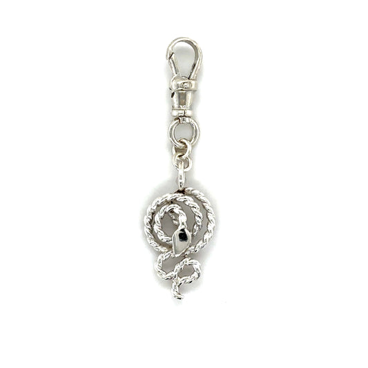 Snake Charm