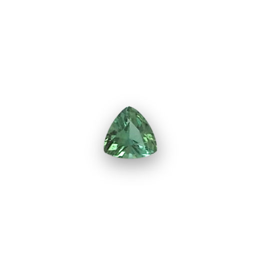 0.25ct Trillion Green Tourmaline