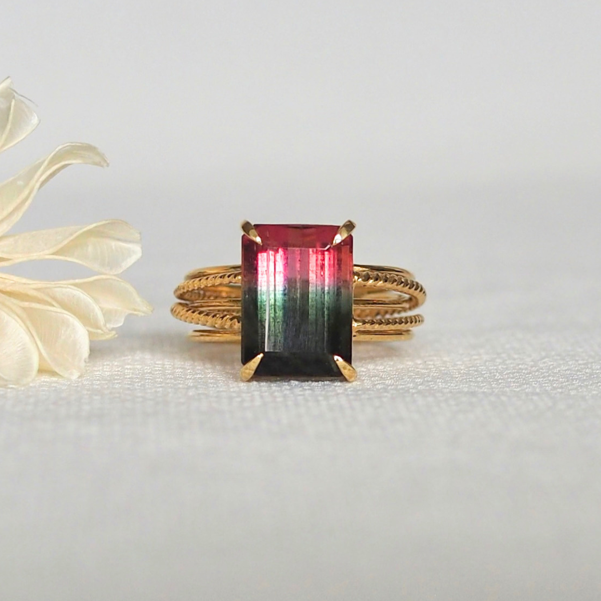 Build Your Own Entwined Ring